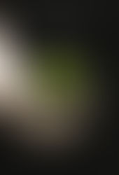 Vida y muerte - Stephenie Meyer