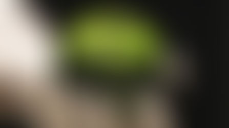 Vida y muerte - Stephenie Meyer