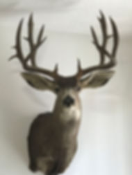 # 25.jpeg