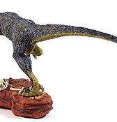 Utahraptor ostrommaysorum