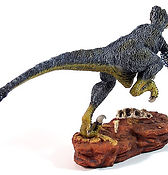 Utahraptor ostrommaysorum