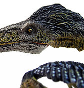 Utahraptor ostrommaysorum