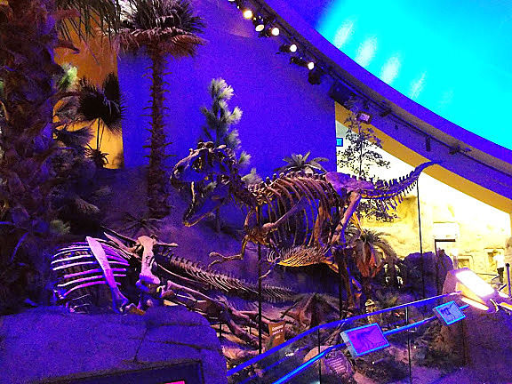 Children's Museum of Indianapolis