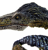 Utahraptor ostrommaysorum