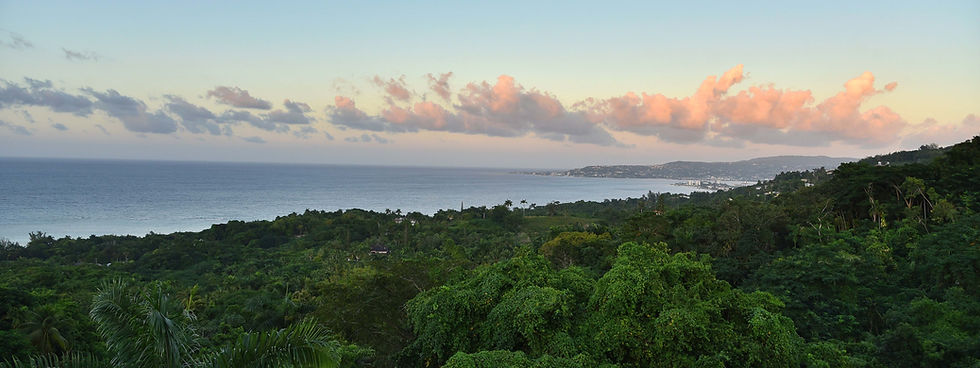 PINAPPLE VISTA VIEW.jpg