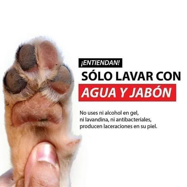 Solo lavar con agua y jabon.jpeg