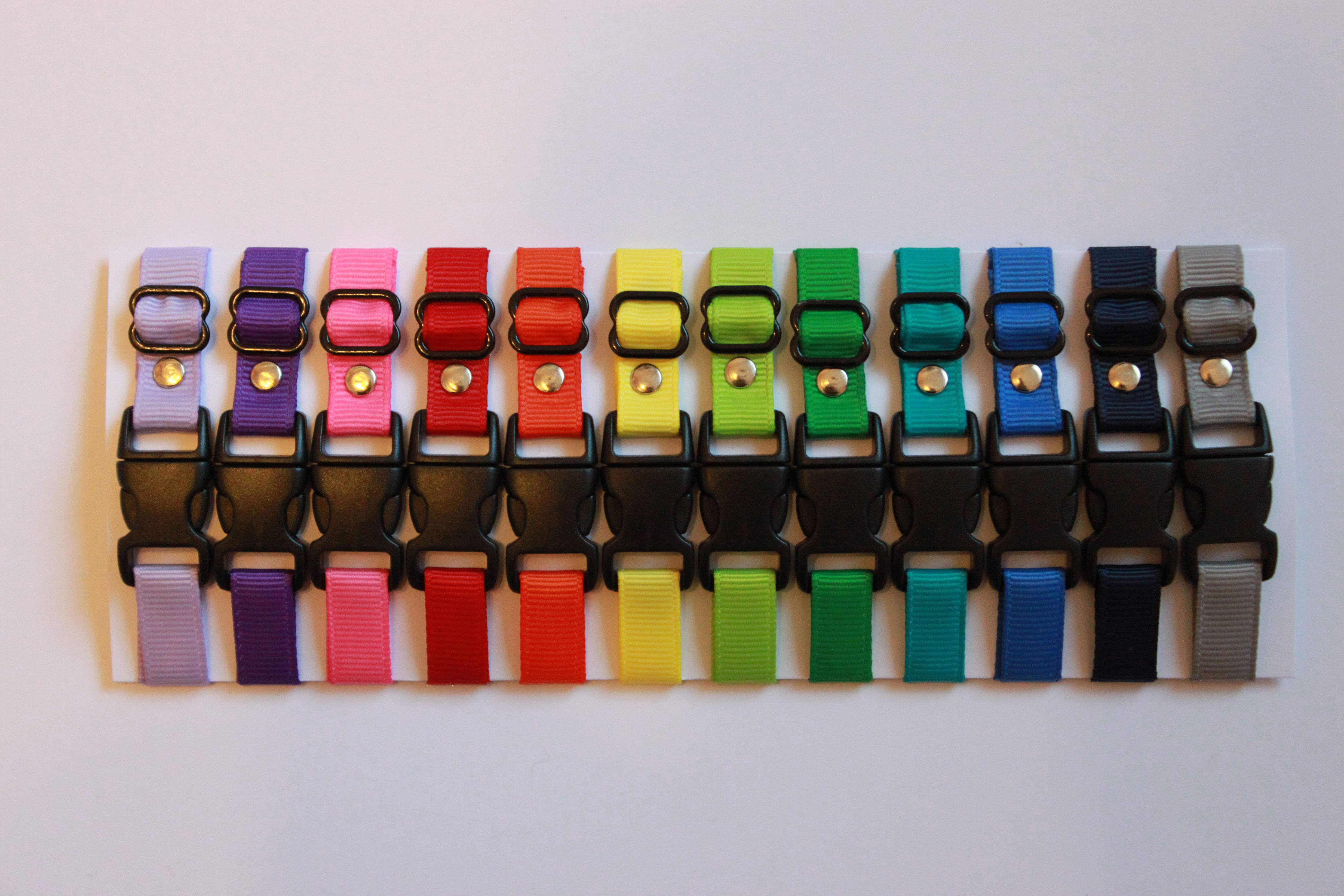 Set of 12 plain puppy id collars