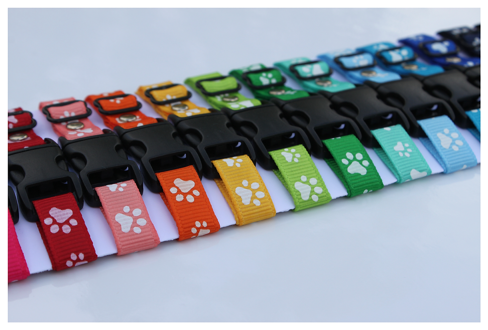 Thumbnail: Set of 22 paw print puppy id collars