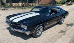 Vintage Certification Thrives