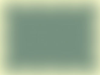 II. ILLUSION DE MOUVEMENT