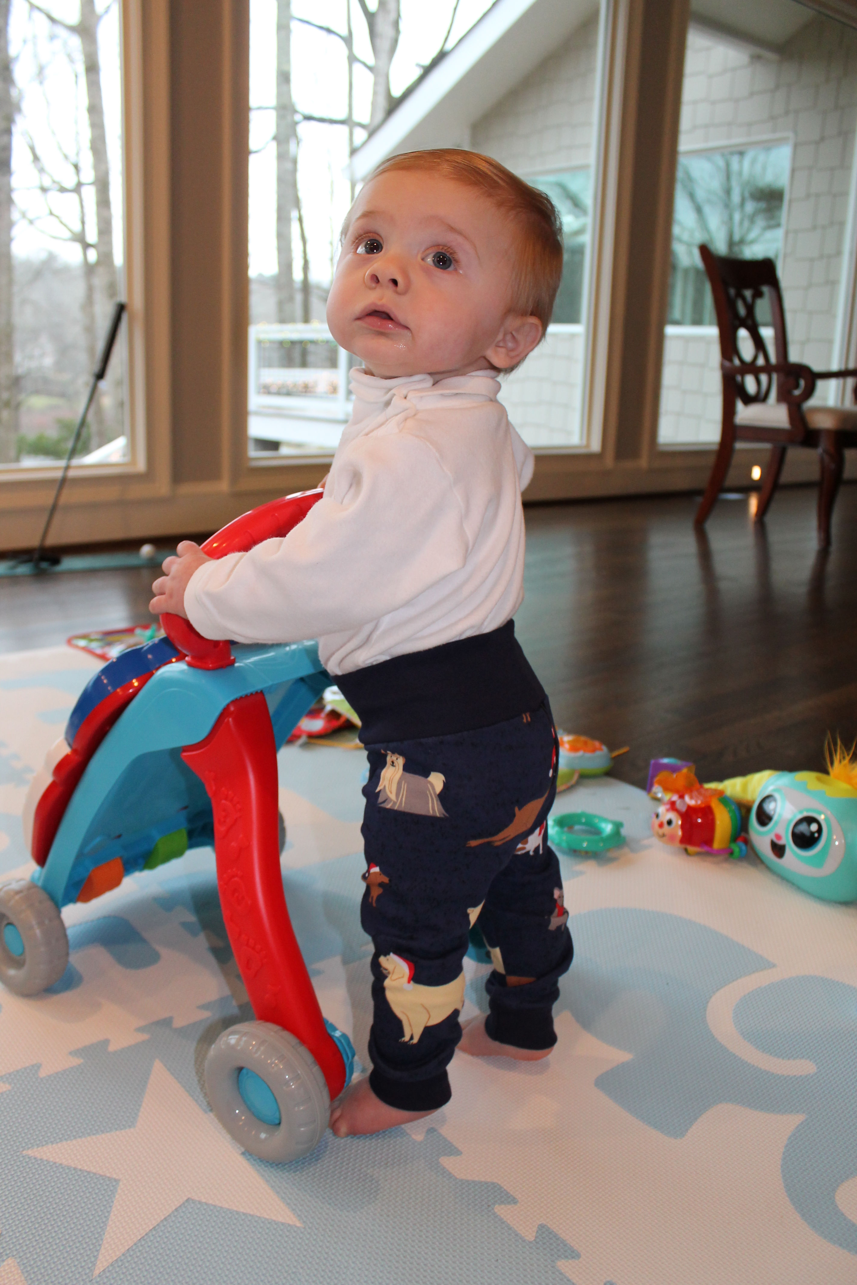 Holiday Dog Baby Joggers