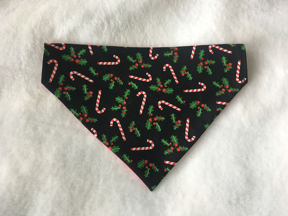 Thumbnail: Candy Cane & Holly Dog Bandana or Bow Tie