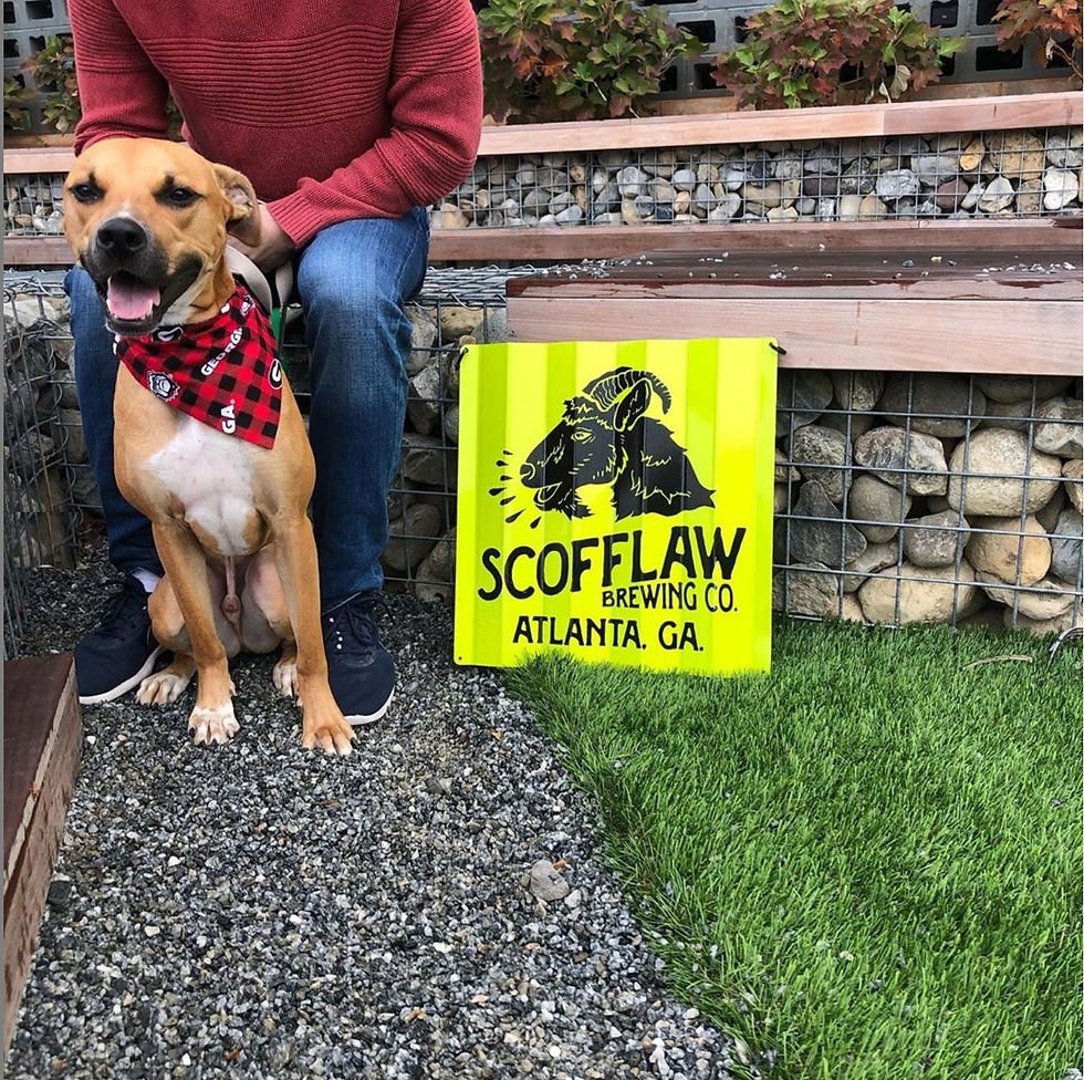 Thumbnail: UGA Buffalo Plaid Dog Bandana or Bow Tie