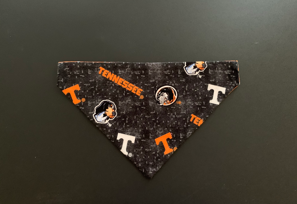 Thumbnail: TN Vols Flannel Dog Bandana or Bow Tie