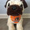 Thumbnail: TN Vols Plaid Dog Bandana