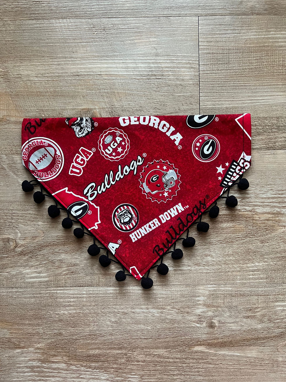 Thumbnail: UGA State Dog Bandana or Bow Tie