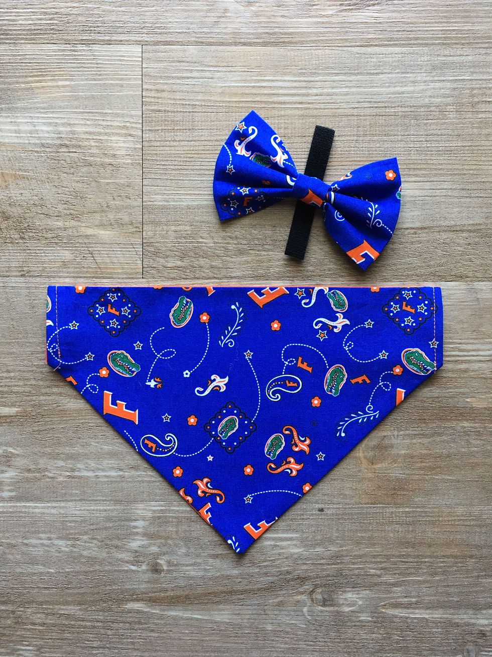 Thumbnail: Florida Paisley Dog Bandana or Bow Tie