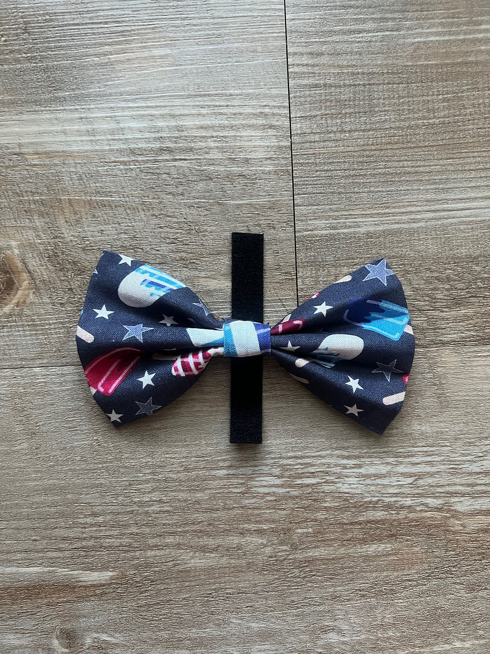 Thumbnail: Patriotic Popsicles Dog Bandana or Bow Tie