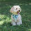 Thumbnail: Blue Gold Paisley Dog Bandana or Bow Tie