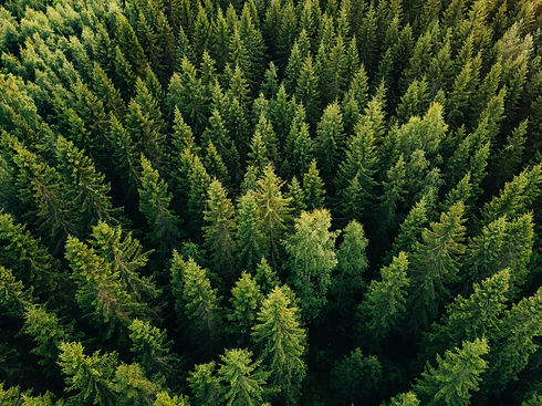 AdobeStock_192168592.jpeg
