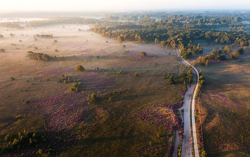 Strabrechtse Heide.jpg