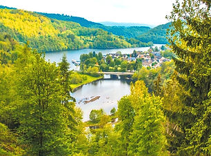 Eifel National Park_edited.jpg