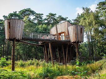 Accommodatie in de natuur