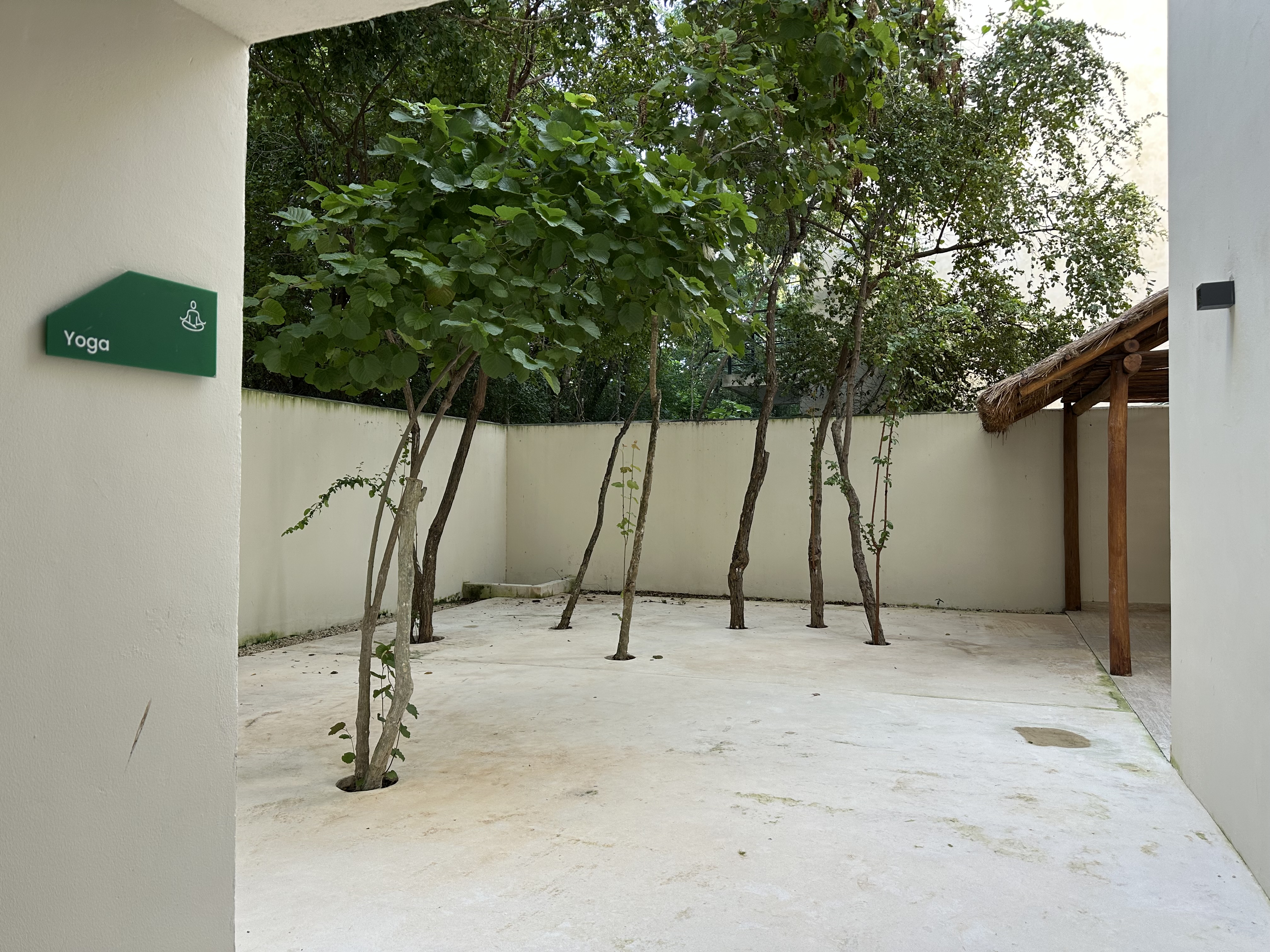 Costa Caribe Tulum yoga square