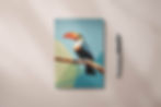 Abstract Toucan A5 Notebook
JOurnal