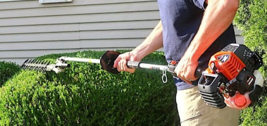 Hedge Trimming