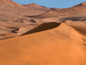 Namib Desert.jpeg