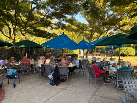 Pizza in The Park