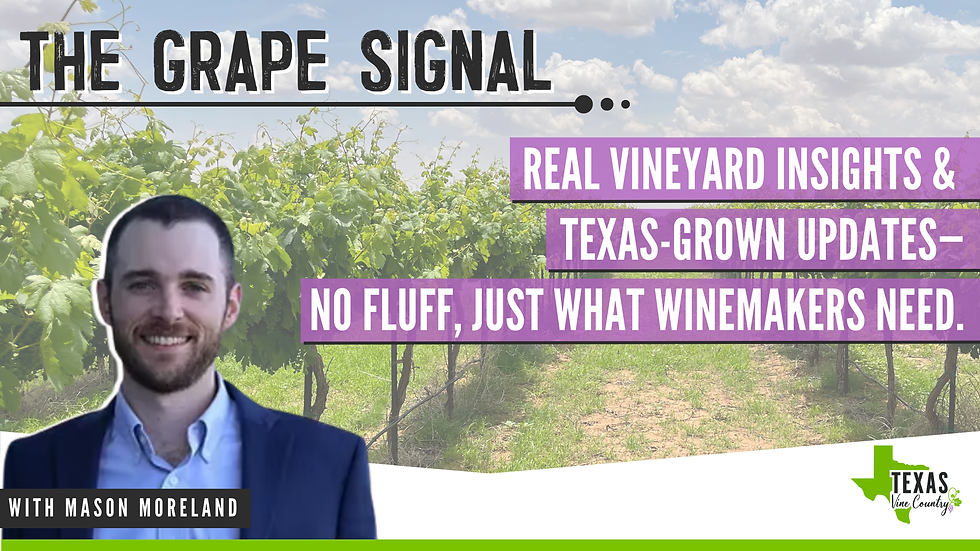 Small vineyards are struggling in Texas: Scale matters