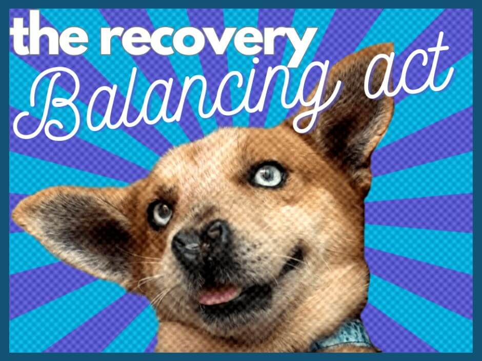 Spud the dog's face with overlying words: The Recovery Balancing Act