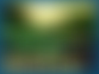An image of 4 small plants, each one slightly bigger than the last. Overtop, words read: Elements of Success