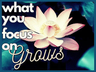 What you Focus on Grows