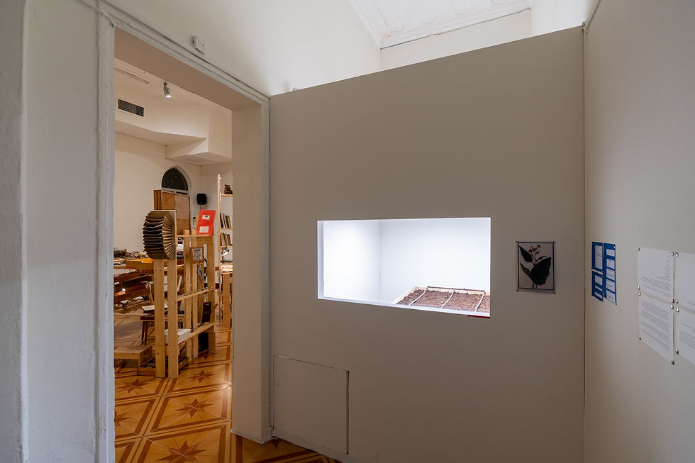 photo by Daniel Hanoch