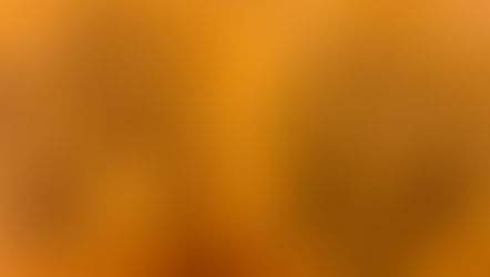 🤎Millies Chocolate Chip Cookies🤎