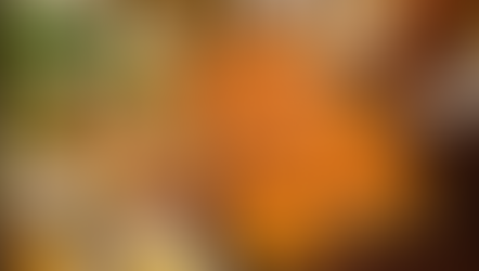 Turkey Thanks Giving Dinner Recipes