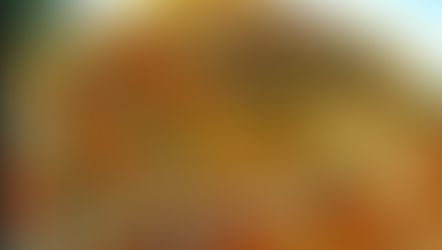 LAUKI GOSHT(SHORBAY WALA)