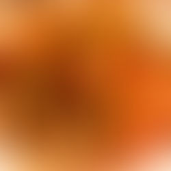 IRANI CHELO KABAB PLATTER 🌶🌶