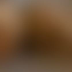 Chicken Patties with Frozen Paratha