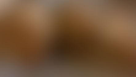 Chicken Patties with Frozen Paratha