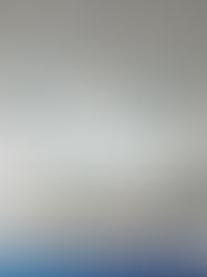 ¿Sabías que puedes estar respirando moho?