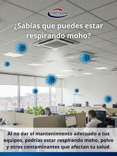 ¿Sabías que puedes estar respirando moho?