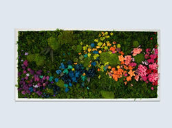 il_794xN.2741570347_3blz