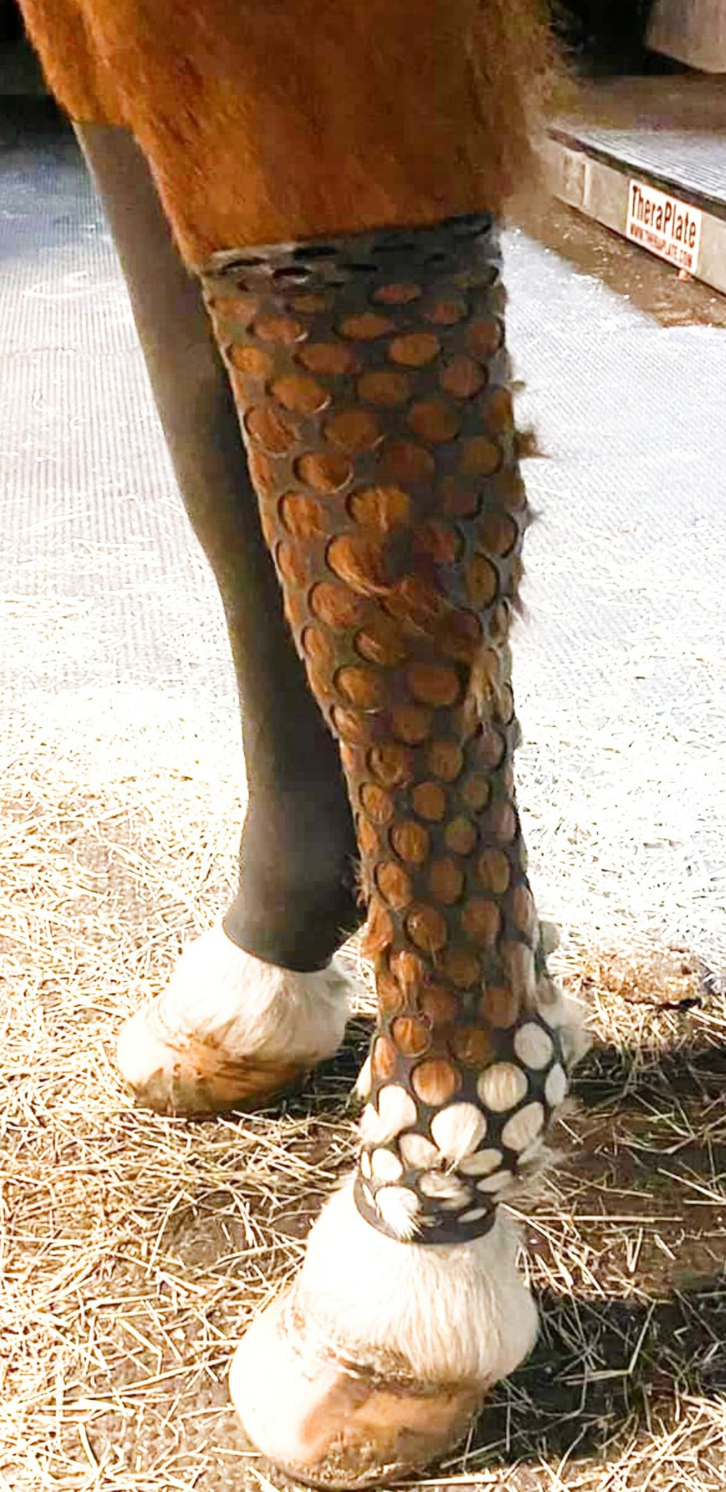 EquineSleeve 1x16 Vented Black Pair