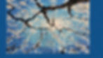 Thumbnail: Inside the Invisible: Poems by Daniel Simpson