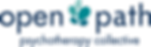 Open Path Logo (1).png