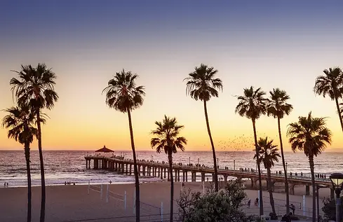 Just One Hibachi in Southern California.webp